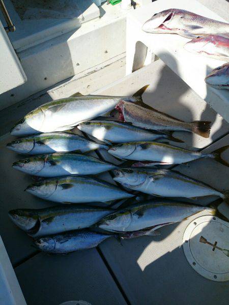 エンペラー 釣果