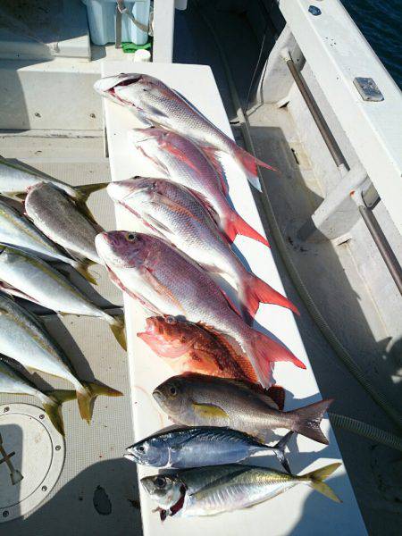 エンペラー 釣果