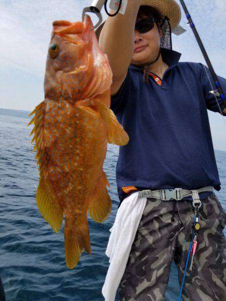 ソルトウォーターガイドフレンズ 釣果