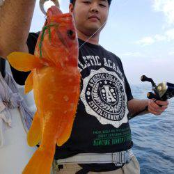 ソルトウォーターガイドフレンズ 釣果