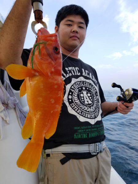 ソルトウォーターガイドフレンズ 釣果