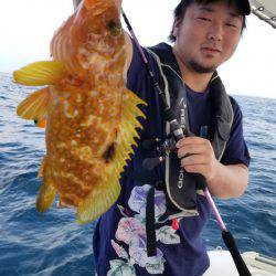 ソルトウォーターガイドフレンズ 釣果