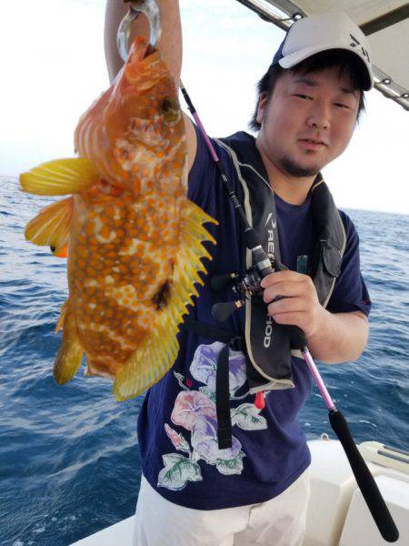 ソルトウォーターガイドフレンズ 釣果