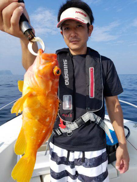 ソルトウォーターガイドフレンズ 釣果