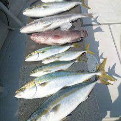 エンペラー 釣果