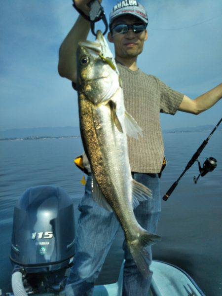 アマテラス 釣果