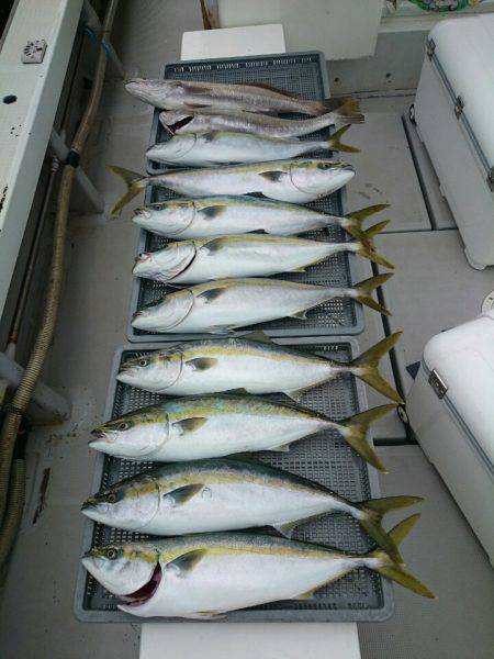 エンペラー 釣果