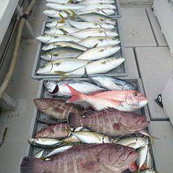 エンペラー 釣果