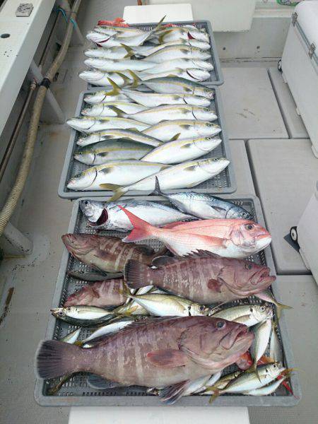 エンペラー 釣果