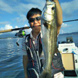 アマテラス 釣果