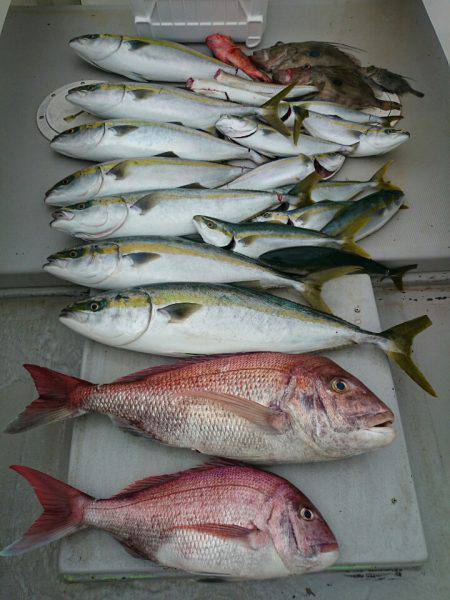 エンペラー 釣果