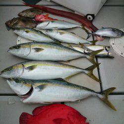 エンペラー 釣果