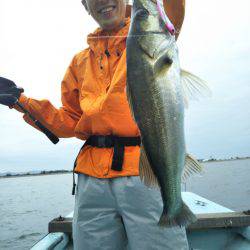 アマテラス 釣果