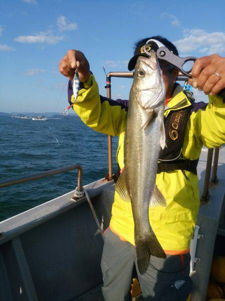 ありもと丸 釣果