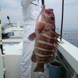 エンペラー 釣果