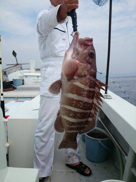 エンペラー 釣果