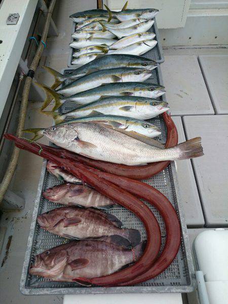 エンペラー 釣果