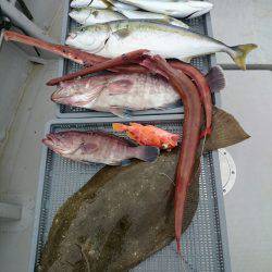 エンペラー 釣果