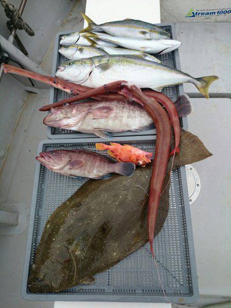 エンペラー 釣果