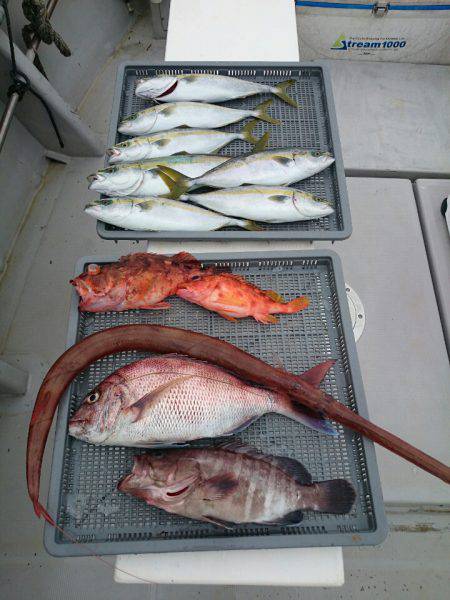 エンペラー 釣果