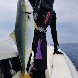 ソルトウォーターガイドフレンズ 釣果