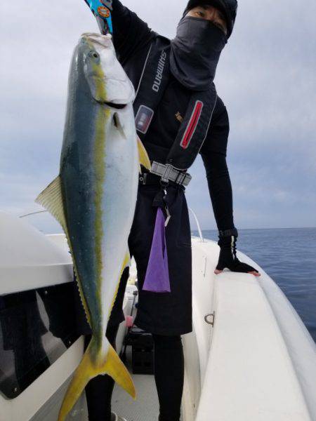 ソルトウォーターガイドフレンズ 釣果