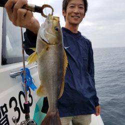 ソルトウォーターガイドフレンズ 釣果