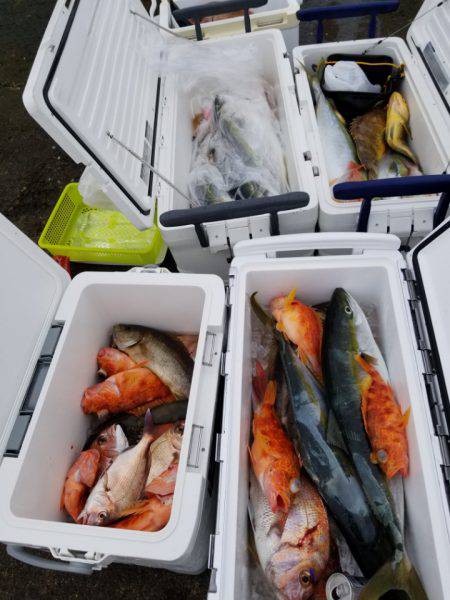 ソルトウォーターガイドフレンズ 釣果