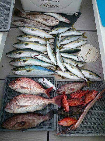 エンペラー 釣果