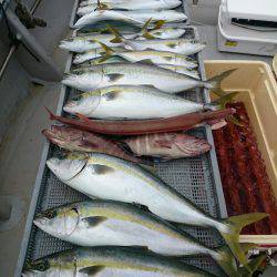 エンペラー 釣果