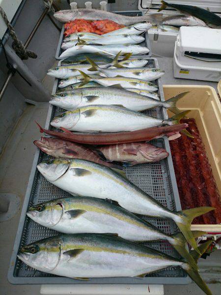 エンペラー 釣果