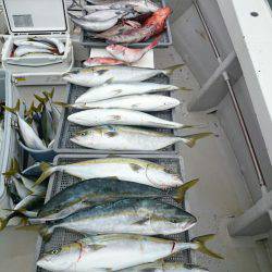 エンペラー 釣果