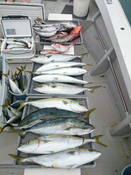 エンペラー 釣果