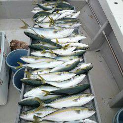 エンペラー 釣果