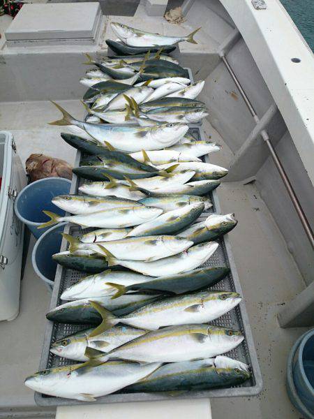 エンペラー 釣果