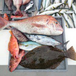 エンペラー 釣果