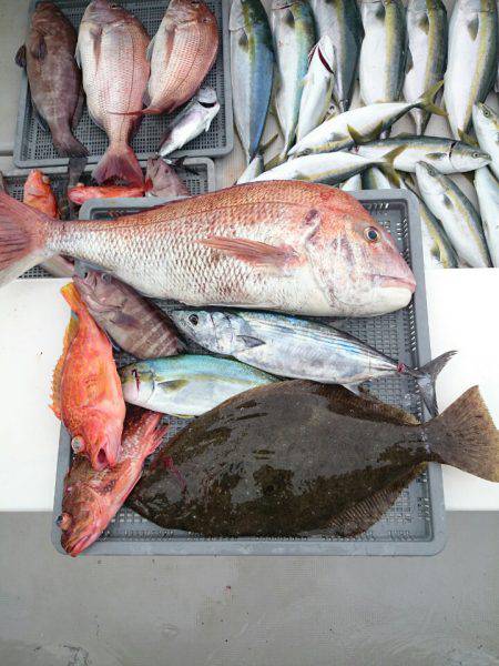 エンペラー 釣果