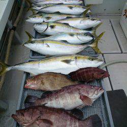 エンペラー 釣果