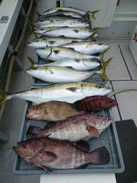 エンペラー 釣果