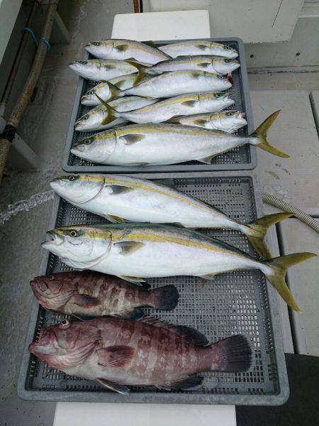 エンペラー 釣果