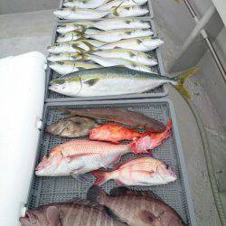 エンペラー 釣果