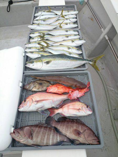 エンペラー 釣果