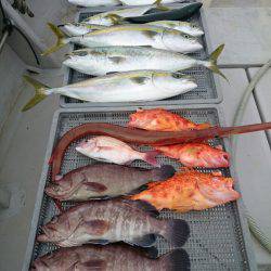 エンペラー 釣果