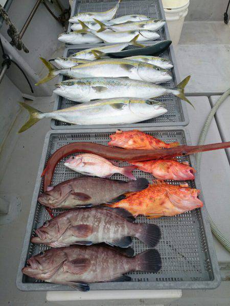 エンペラー 釣果