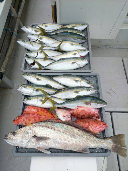 エンペラー 釣果