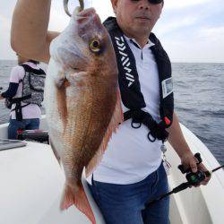 ソルトウォーターガイドフレンズ 釣果