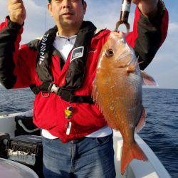 ソルトウォーターガイドフレンズ 釣果