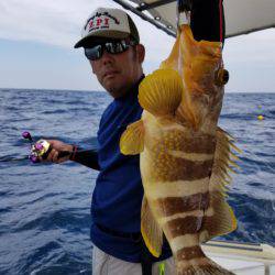 ソルトウォーターガイドフレンズ 釣果