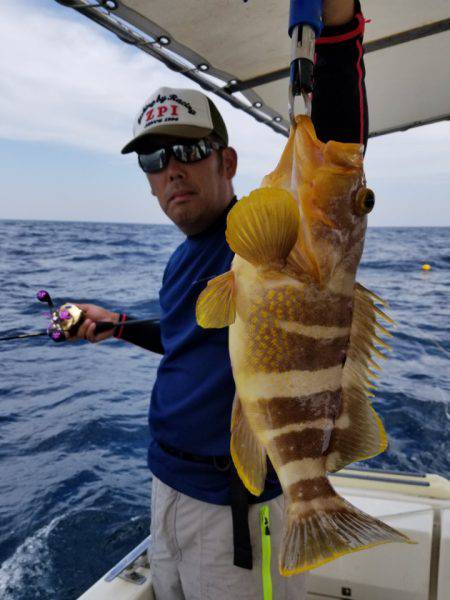 ソルトウォーターガイドフレンズ 釣果