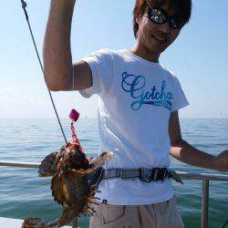 ありもと丸 釣果